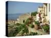 Monemvasia, Lakonia, Mainland, Greece, Europe-O'callaghan Jane-Stretched Canvas