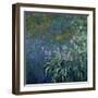 Monet: Irises By The Pond-Claude Monet-Framed Giclee Print