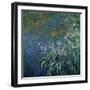 Monet: Irises By The Pond-Claude Monet-Framed Giclee Print