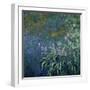 Monet: Irises By The Pond-Claude Monet-Framed Giclee Print