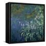 Monet: Irises By The Pond-Claude Monet-Framed Stretched Canvas