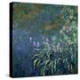 Monet: Irises By The Pond-Claude Monet-Stretched Canvas