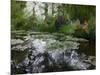 Monet Pond 2-Sarah Butcher-Mounted Art Print