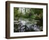 Monet Pond 2-Sarah Butcher-Framed Premium Giclee Print