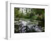 Monet Pond 2-Sarah Butcher-Framed Premium Giclee Print