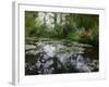 Monet Pond 2-Sarah Butcher-Framed Art Print