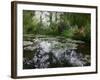 Monet Pond 2-Sarah Butcher-Framed Art Print