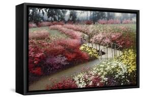 Monet's Flower Garden-Zhen-Huan Lu-Framed Stretched Canvas