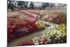 Monet's Flower Garden-Zhen-Huan Lu-Mounted Giclee Print