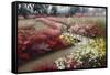 Monet's Flower Garden-Zhen-Huan Lu-Framed Stretched Canvas