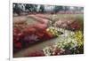 Monet's Flower Garden-Zhen-Huan Lu-Framed Giclee Print