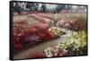 Monet's Flower Garden-Zhen-Huan Lu-Framed Stretched Canvas