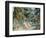 Monet's Garden' C1880-Claude Monet-Framed Giclee Print