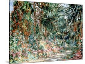 Monet's Garden' C1880-Claude Monet-Stretched Canvas
