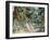 Monet's Garden' C1880-Claude Monet-Framed Giclee Print