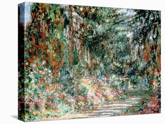 Monet's Garden' C1880-Claude Monet-Stretched Canvas