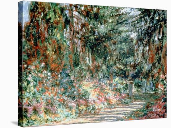 Monet's Garden' C1880-Claude Monet-Stretched Canvas