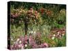 Monet's Garden, Giverny, Haute Normandie, France, Europe-Ken Gillham-Stretched Canvas