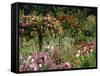 Monet's Garden, Giverny, Haute Normandie, France, Europe-Ken Gillham-Framed Stretched Canvas