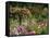 Monet's Garden, Giverny, Haute Normandie, France, Europe-Ken Gillham-Framed Stretched Canvas