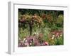 Monet's Garden, Giverny, Haute Normandie, France, Europe-Ken Gillham-Framed Photographic Print