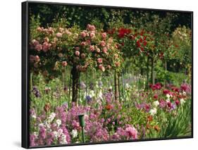 Monet's Garden, Giverny, Haute Normandie, France, Europe-Ken Gillham-Framed Photographic Print