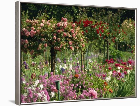 Monet's Garden, Giverny, Haute Normandie, France, Europe-Ken Gillham-Framed Photographic Print