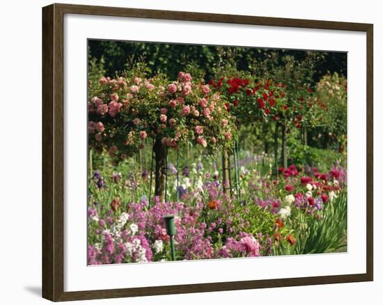 Monet's Garden, Giverny, Haute Normandie, France, Europe-Ken Gillham-Framed Photographic Print