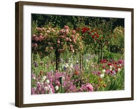 Monet's Garden, Giverny, Haute Normandie, France, Europe-Ken Gillham-Framed Photographic Print