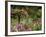 Monet's Garden, Giverny, Haute Normandie, France, Europe-Ken Gillham-Framed Photographic Print