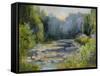 Monet's Garden I-Mary Jean Weber-Framed Stretched Canvas