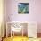 Monet's Garden-Malva-Giclee Print displayed on a wall