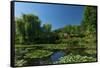 Monet's House Behind the Waterlily Pond, Giverny, Normandy, France, Europe-James Strachan-Framed Stretched Canvas
