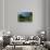 Monet's House Behind the Waterlily Pond, Giverny, Normandy, France, Europe-James Strachan-Stretched Canvas displayed on a wall