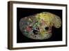 Monet's Palette (Wood)-French-Framed Giclee Print