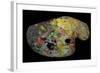 Monet's Palette (Wood)-French-Framed Giclee Print