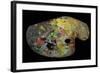 Monet's Palette (Wood)-French-Framed Giclee Print