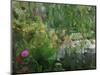 Monet's Pond at Giverny-Sarah Butcher-Mounted Art Print