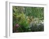 Monet's Pond at Giverny-Sarah Butcher-Framed Art Print