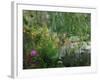 Monet's Pond at Giverny-Sarah Butcher-Framed Art Print