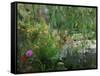 Monet's Pond at Giverny-Sarah Butcher-Framed Stretched Canvas