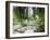 Monet's Tranquil Gardens-Sarah Butcher-Framed Art Print