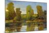 Monet's Water Lily Pond I-Tim O'toole-Mounted Art Print