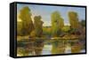 Monet's Water Lily Pond I-Tim O'toole-Framed Stretched Canvas