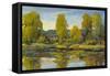 Monet's Water Lily Pond II-Tim O'toole-Framed Stretched Canvas