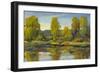 Monet's Water Lily Pond II-Tim O'toole-Framed Art Print