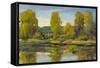 Monet's Water Lily Pond II-Tim O'toole-Framed Stretched Canvas
