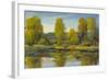 Monet's Water Lily Pond II-Tim O'toole-Framed Art Print