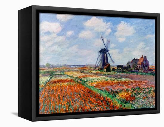 Monet: Tulip Fields, 1886-Claude Monet-Framed Stretched Canvas