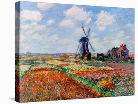 Monet: Tulip Fields, 1886-Claude Monet-Stretched Canvas